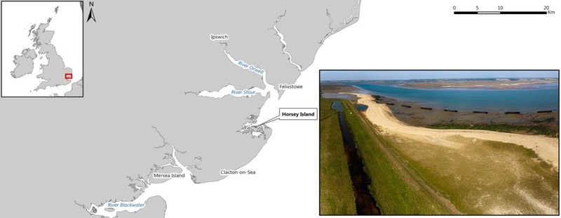 case study coastal defence horsey island map // cs_coastal-defence-horsey-island-map.jpg (41 K)