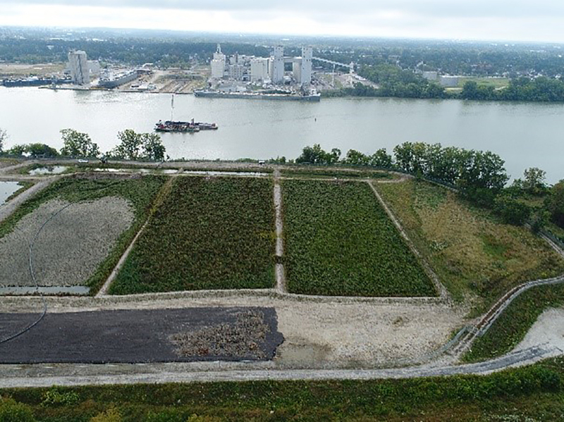 case study great lakes vegetated cells // cs_great-lakes-vegetated-cells.jpg (451 K)