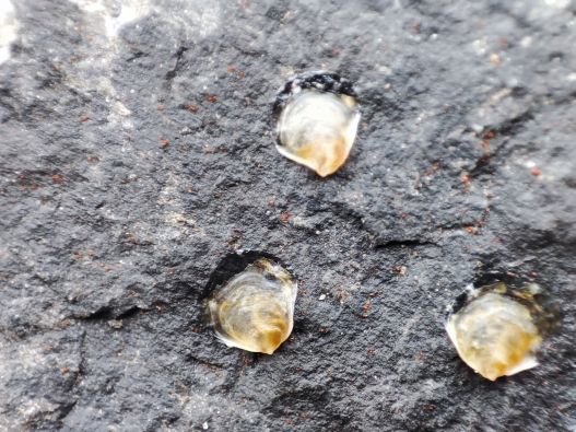 15122025_1x // image_1_orp.jpg (64 K)