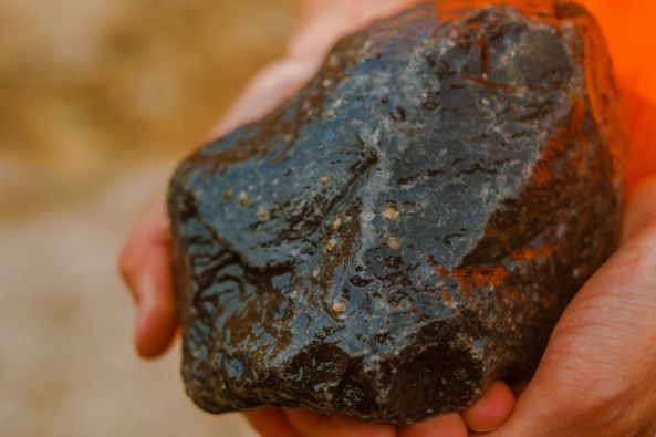 15122025_2 // image_2_orp.jpg (34 K)