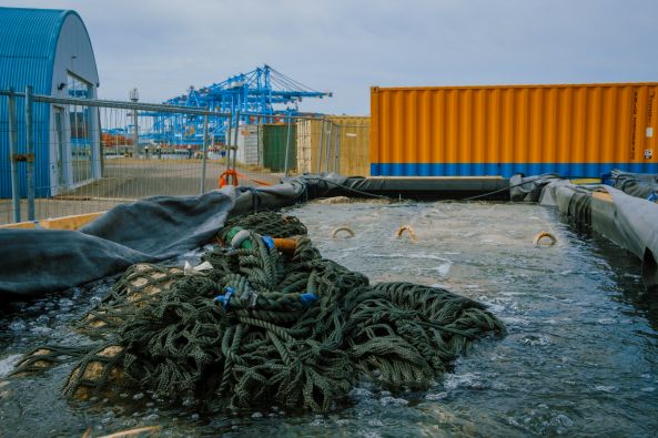 15122025_3 // image_3_orp.jpg (56 K)